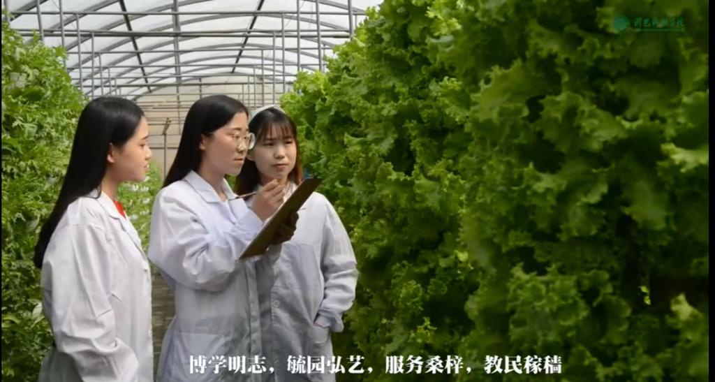哈哈体育招生宣传短片