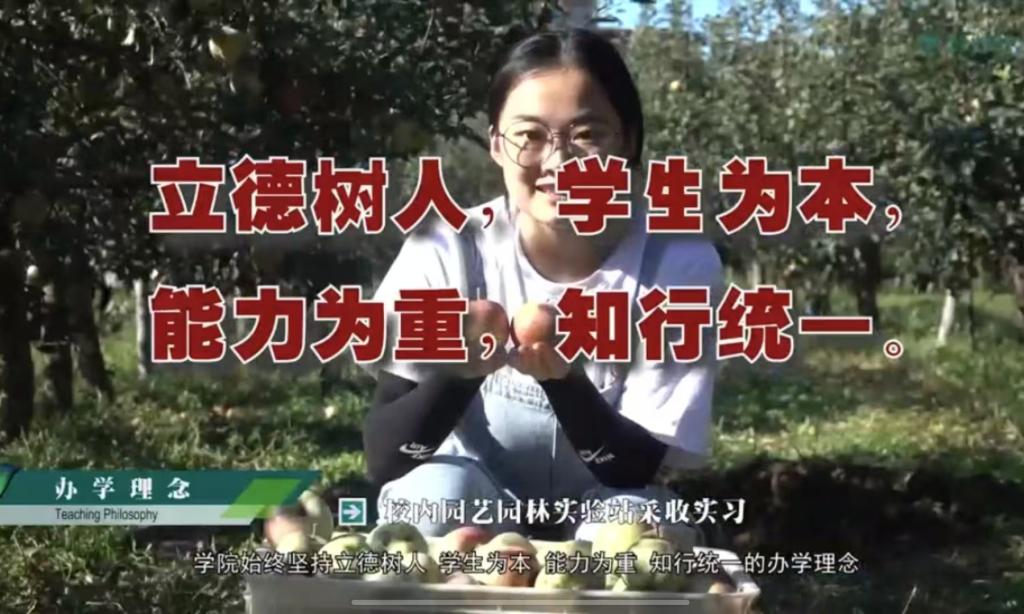 哈哈体育宣传片